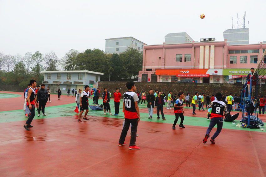 如火如荼的排球比赛