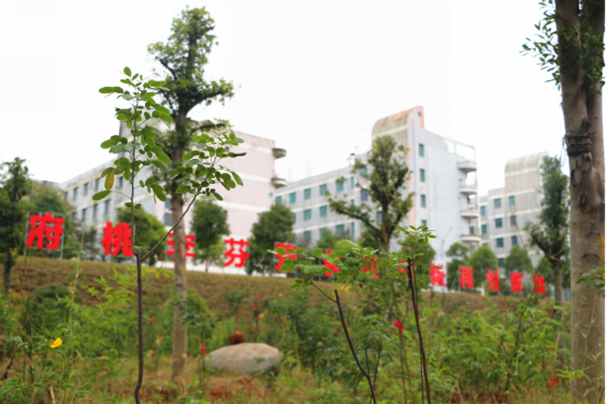 百年薪火俯首农桑1