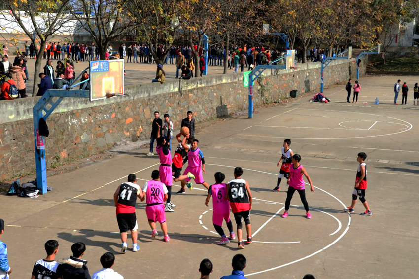 精彩绝伦的男篮比赛，人文VS动科