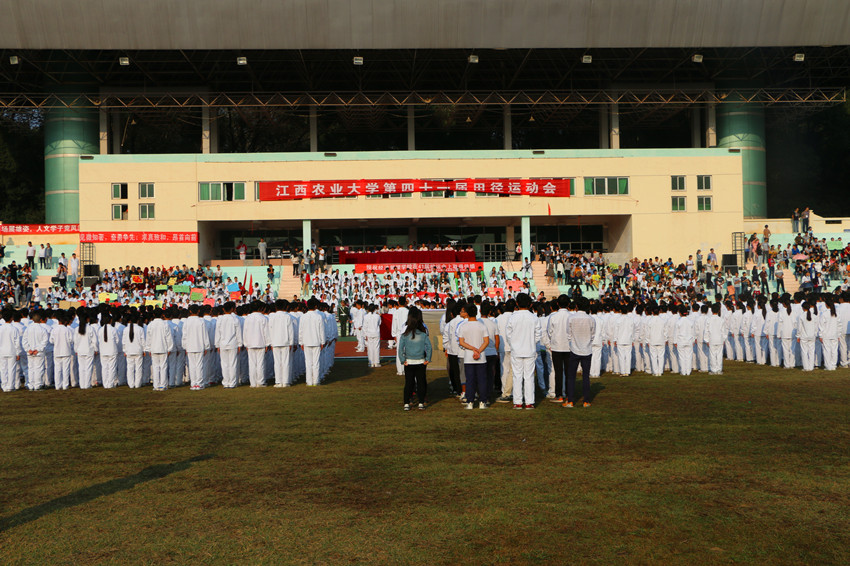 公司运动会隆重开幕 公司运动会隆重开幕