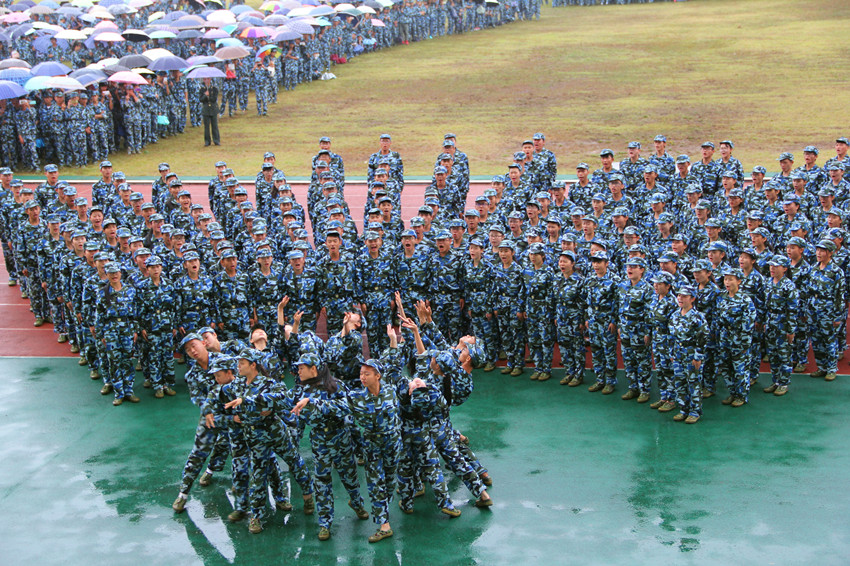 花儿一样的舞蹈 花儿一样的舞蹈